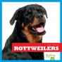 Rottweilers - Preview
