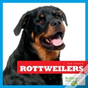 Capa do artigo Rottweilers
