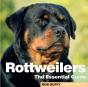Rottweilers - Preview