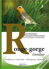 Rouge-Gorge Familier