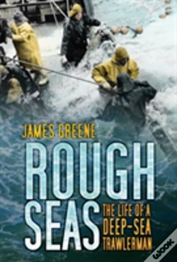 Capa do artigo Rough Seas