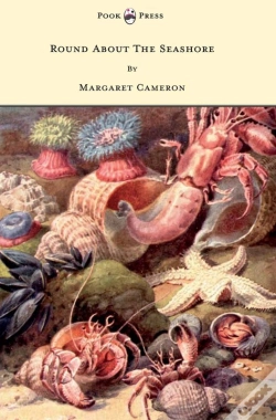 Capa do artigo Round About The Seashore - With Eight Coloured Pictures