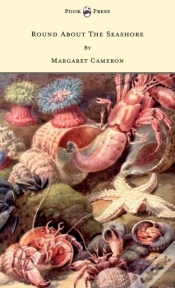 Capa do artigo Round About The Seashore - With Eight Coloured Pictures