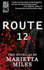 Route 12 - Preview