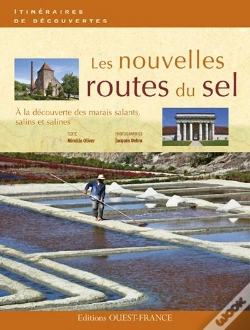 Capa do artigo Routes Du Sel