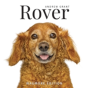 Rover - Preview