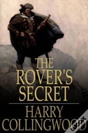 Capa do artigo Rover