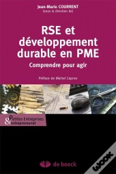 Rse Et Développement Durable En Pme ; Comprendre Pour Agir