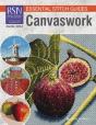 Rsn Essential Stitch Guides: Canvaswork - Preview