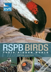 Rspb Birds: Their Hidden World