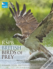 Rspb British Birds Of Prey