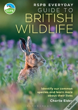 Capa do artigo Rspb Everyday Guide To British Wildlife