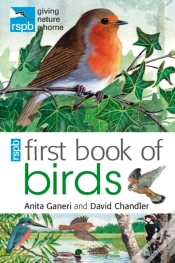 Capa do artigo Rspb First Book Of Birds