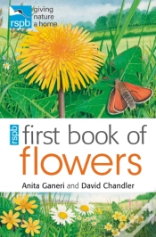 Capa do artigo Rspb First Book Of Flowers
