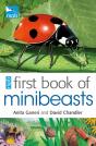 Rspb First Book Of Minibeasts - Preview