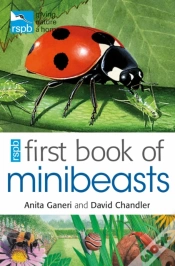 Capa do artigo Rspb First Book Of Minibeasts