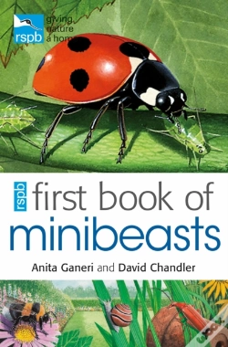 Capa do artigo Rspb First Book Of Minibeasts