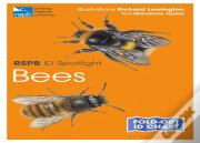 Rspb Id Spotlight - Bees