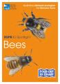 Rspb Id Spotlight - Bees - Preview