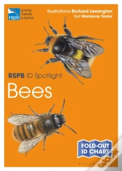 Capa do artigo Rspb Id Spotlight - Bees