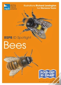 Capa do artigo Rspb Id Spotlight - Bees