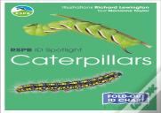 Rspb Id Spotlight - Caterpillars
