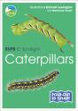 Rspb Id Spotlight - Caterpillars - Preview