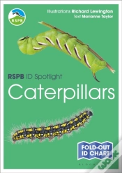 Capa do artigo Rspb Id Spotlight - Caterpillars