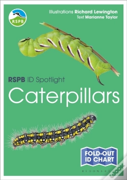 Capa do artigo Rspb Id Spotlight - Caterpillars