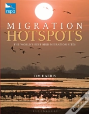 Capa do artigo Rspb Migration Hotspots