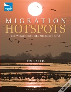 Capa do artigo Rspb Migration Hotspots
