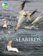 Rspb Seabirds - Preview