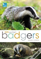 Rspb Spotlight: Badgers
