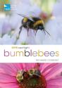 Rspb Spotlight Bumblebees - Preview