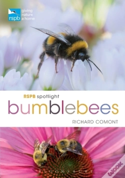 Capa do artigo Rspb Spotlight Bumblebees