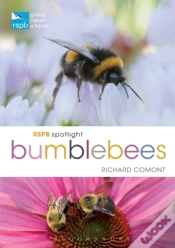 Capa do artigo Rspb Spotlight Bumblebees