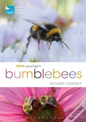 Rspb Spotlight Bumblebees
