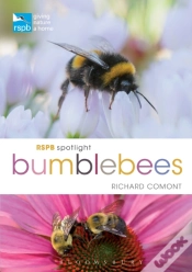Capa do artigo Rspb Spotlight Bumblebees