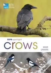 Rspb Spotlight Crows