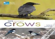 Rspb Spotlight Crows