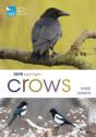 Rspb Spotlight Crows - Preview