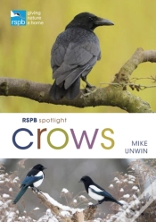 Capa do artigo Rspb Spotlight Crows