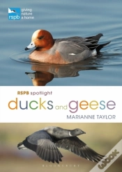 Capa do artigo Rspb Spotlight Ducks And Geese