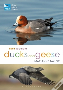 Capa do artigo Rspb Spotlight Ducks And Geese