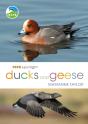 Rspb Spotlight Ducks And Geese - Preview
