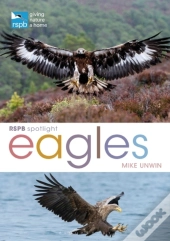 Rspb Spotlight: Eagles