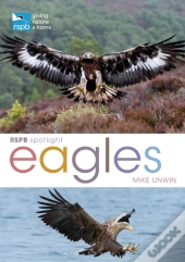 Rspb Spotlight: Eagles