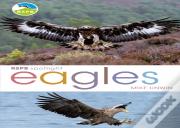 Rspb Spotlight: Eagles