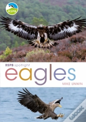 Capa do artigo Rspb Spotlight: Eagles