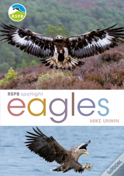 Capa do artigo Rspb Spotlight: Eagles